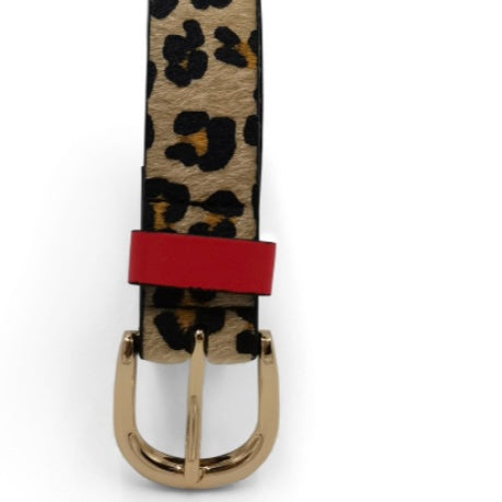 Julz Belt