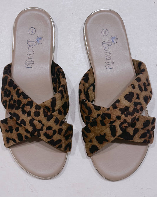 Indi 1 Leopard