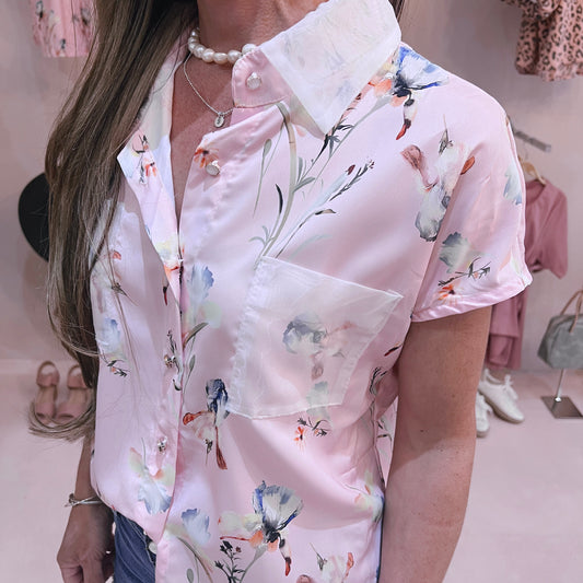 Chiffon Collar Top